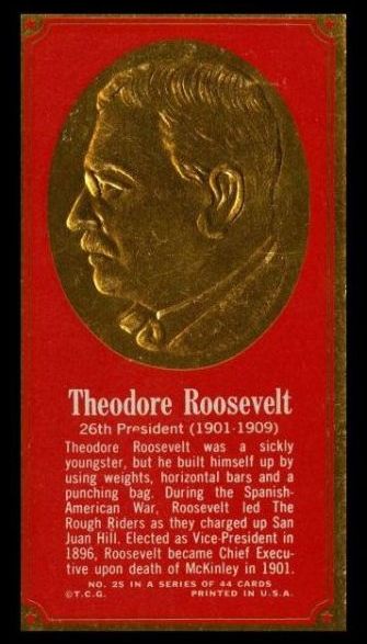 65TPFA 25 Theodore Roosevelt.jpg